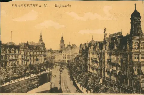 Ansichtskarte Frankfurt am Main Roßmarkt Straßenszene 1912