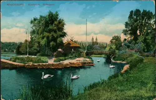 Ansichtskarte Werder-Magdeburg Stadtpark. Mittagsee. 1914