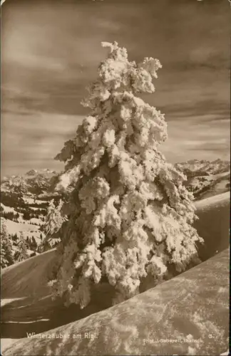 Ansichtskarte Küssnacht am Rigi Winterzauber am Rigi. Fotokarte 1928