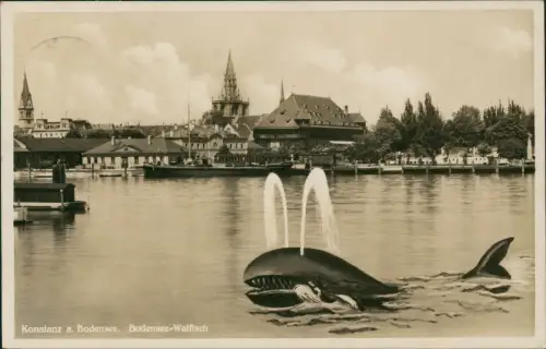 Ansichtskarte Konstanz Bodensee Walfisch Hafen Fotokunst 1933