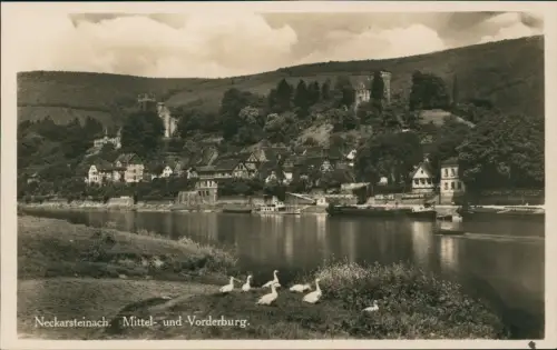 Ansichtskarte Neckarsteinach Mittel- und Vorderburg. Schiff Gänse 1930