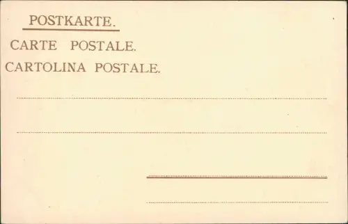 Ansichtskarte Neuhausen am Rheinfall Rheinfall Dampflokomotive bei Nacht 1908