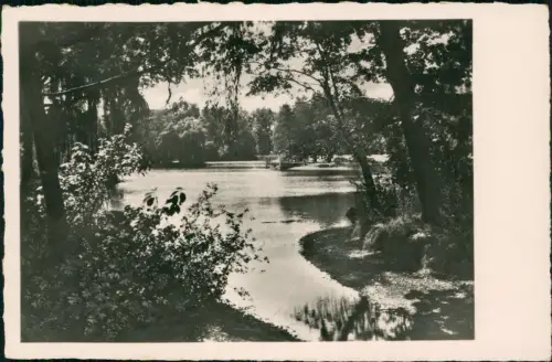 Ansichtskarte Markkleeberg Gartenbau-Austellung Park Fotokarte 1953