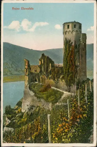 Ansichtskarte Rüdesheim (Rhein) Ruine Ehrenfels vom Weinberg 1923