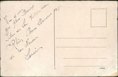 Ansichtskarte Rüdesheim (Rhein) Ruine Ehrenfels vom Weinberg 1923