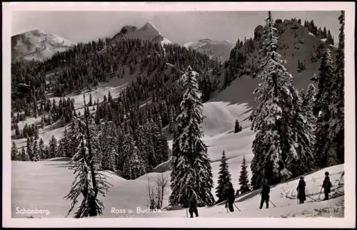 Ansichtskarte Schönberg (Oberbayern) Ross u. Buchstein, Skiläufer 1934