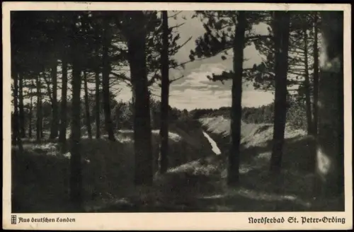 Ansichtskarte St. Peter-Ording Motiv aus dem Kiefernwäldchen 1935