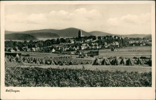 Ansichtskarte Wolfshagen (Harz) Bilck vom Feld auf die Stadt 1959