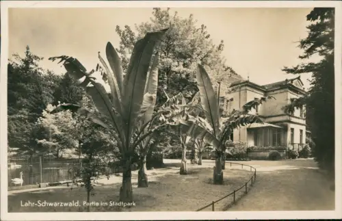 Ansichtskarte Lahr (Schwarzwald) Villa Stauden Stadtpark - Fotokarte 1941