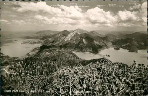 Ansichtskarte Kochel am See Fernsicht auf Walchensee und Bergwelt 1962