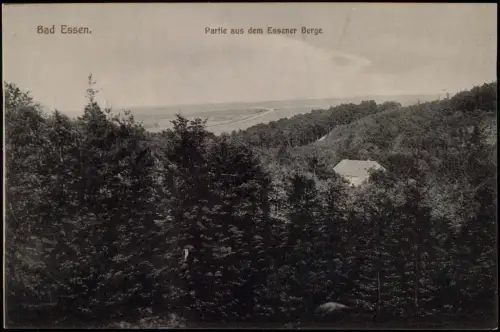 Ansichtskarte Bad Essen Partie aus dem Essener Berge. 1922