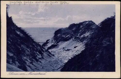 Ansichtskarte Heringsdorf Usedom Dünen am Meeresstrand 1926