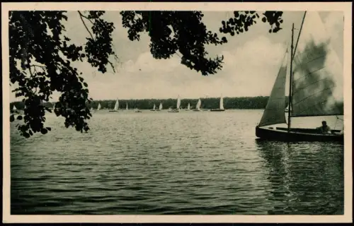 Ansichtskarte Caputh-Schwielowsee Segelboote 1930