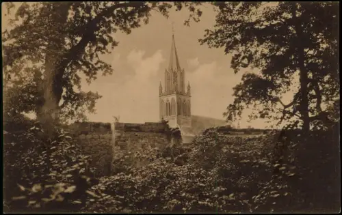 Ansichtskarte Neubrandenburg Blick vom Wall auf die Marienkirche 1922