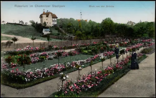 Ansichtskarte Chemnitz Rosarium im Stadtpark Blick von der Brücke 1913