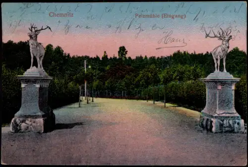 Ansichtskarte Siegmar-Chemnitz Pelzmühle Eingang Hirschskulpturen 1908