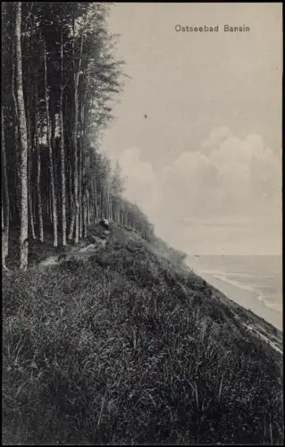Ansichtskarte Bansin-Heringsdorf Usedom Strand und Steilküste 1913
