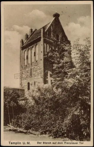 Ansichtskarte Templin Der Storch auf dem Prenzlauer Tor 1936
