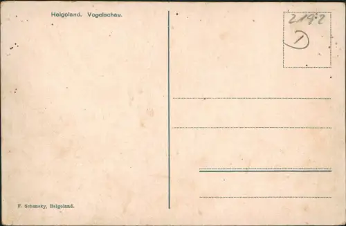 Helgoland (Insel) Luftbild Helgoland Vogelschau-Perspektive 1910