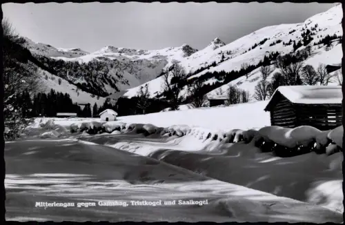 Mitterlengau gegen Gamshag, Tristkogel und Saalkogel im Winter 1969