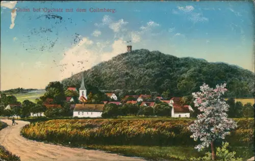 Ansichtskarte Collm-Wermsdorf Ortspartie am Collmberg 1918
