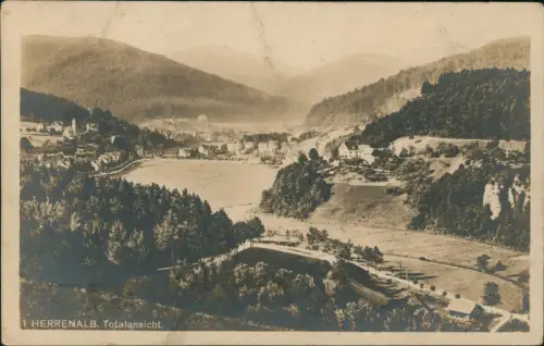 Ansichtskarte Bad Herrenalb Panorama-Totalansicht 1910