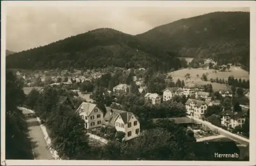 Ansichtskarte Bad Herrenalb Panorama-Ansicht 1940