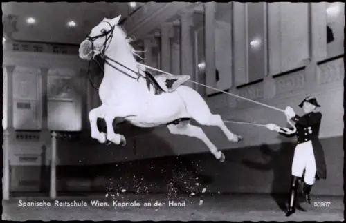 Ansichtskarte Wien Spanische Reitschule. Kapriole an der Hand 1963