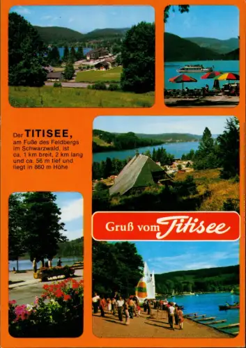 Ansichtskarte Titisee-Neustadt Mehrbild Titisee 1988