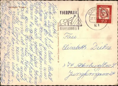 Ansichtskarte Duisburg Tierpark Zoo Flamingo 1966