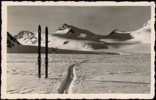 Ansichtskarte .Tirol Gurgler Gletscher mit Falschungspitze Skier 1950