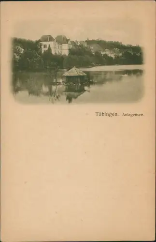 Ansichtskarte Tübingen Anlagensee Schwanenhaus 1906