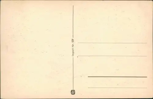 Ansichtskarte  Scherzkarte Die sind besorgt und aufgehoben! 1956