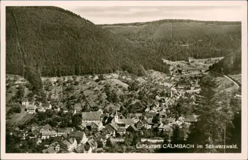 Ansichtskarte Calmbach-Bad Wildbad Blick über die Stadt 1930