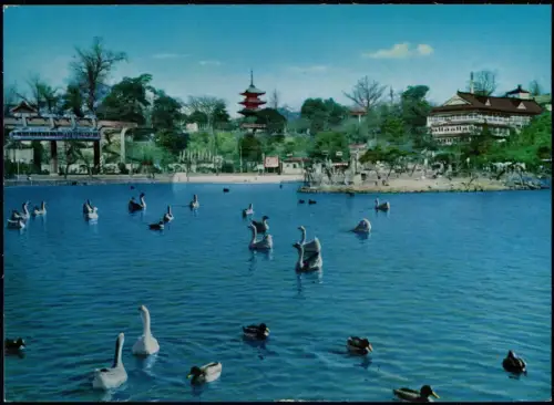 Tokio Tōkyō (東京) A Scenery of Water Zoological Gardenat Ueno Park 1976