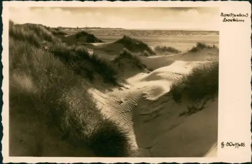 Ansichtskarte Borkum Strand Dünen-Landschaft an der Nordsee 1940