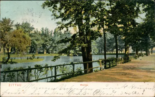 Ansichtskarte Zittau Weinau Anlagen 1906