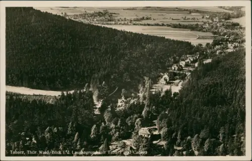 Ansichtskarte Tabarz/Thüringer Wald Blick in den Lauchagrund 1930