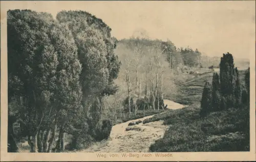 Ansichtskarte Wilsede-Bispingen Weg vom W.-Berg 1924