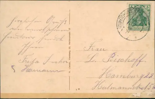 Ansichtskarte Wilsede-Bispingen Weg vom W.-Berg 1924