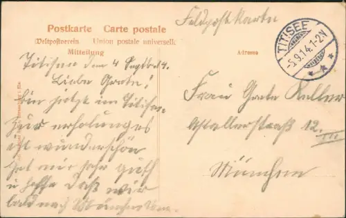 Ansichtskarte Titisee-Neustadt Fernblick 1914