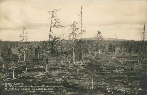 Postcard Inari Lappland Inari.-Laanila. Fotokarte 1929  Suomi Finland