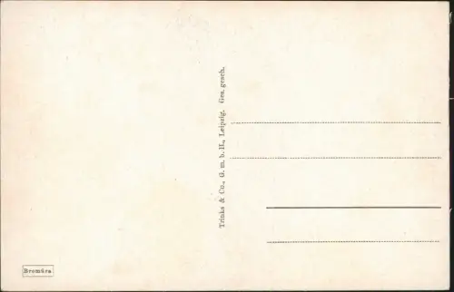 Ansichtskarte Riesa Blick auf die Elbbrücke. 1934