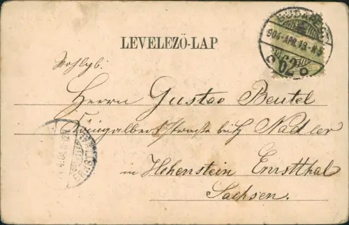 .Ungarn Ökörgulya itatása a hortobágyon. Magyar Schäfer Herde 1919