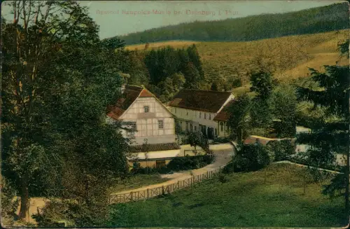 Ansichtskarte Eisenberg (Thüringen) Naupoldsmühle 1918