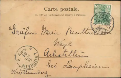 Ansichtskarte  Künstlerkarte feiernde Schweine Eber u. Sau 1901