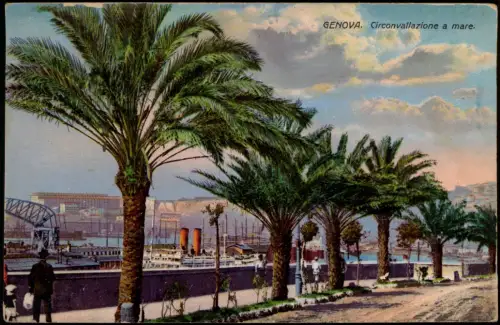 Genua Genova (Zena) Promenade mit Palmen, Circonvallazione a mare 1910