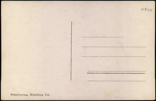 Ansichtskarte Schuls Scuol Ortsansicht, Brücke, Ortspanorama 1924