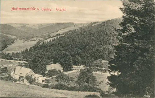 Ansichtskarte Geising-Altenberg (Erzgebirge) Hartmannmühle 1915