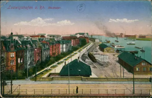Ansichtskarte Ludwigshafen Partie am Rhein-Ufer, Rhein-Blick 1910
